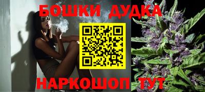 гашик Малоярославец