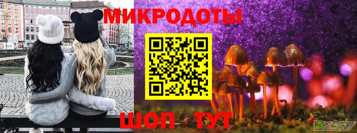 Вышний Волочёк  Галлюциногенные грибы ЛСД  наркота  Вход с VPN 